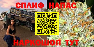 прущие крисы Бийск