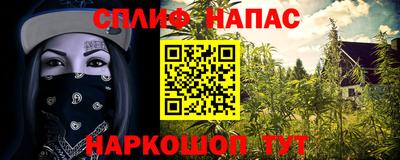 прущие крисы Бийск